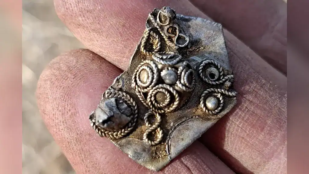 Le plus grand trésor viking de Norvège aurait pu appartenir à un magnat de l'âge du fer 19 Gros plan sur des coquillages fossilisés présentant des motifs en spirale à la surface d’un rocher.