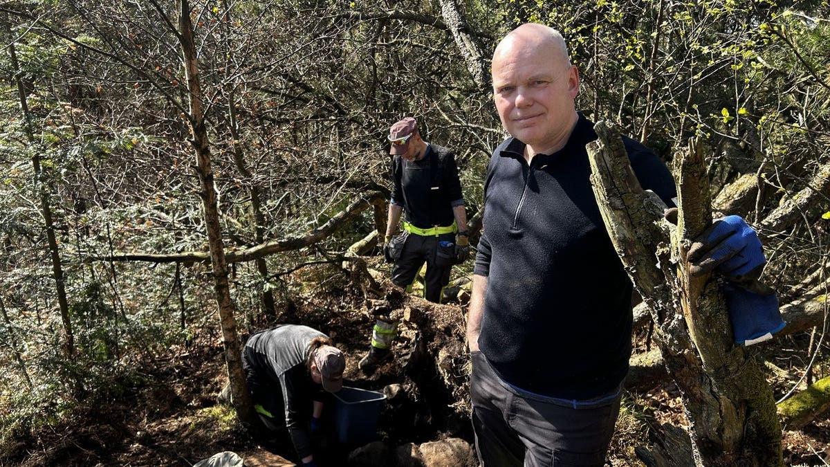 Un randonneur norvégien découvre une gaine d'épée en or vieille de 1 500 ans sous un arbre tombé 12 Image d'archéologues effectuant des fouilles sur un site forestier