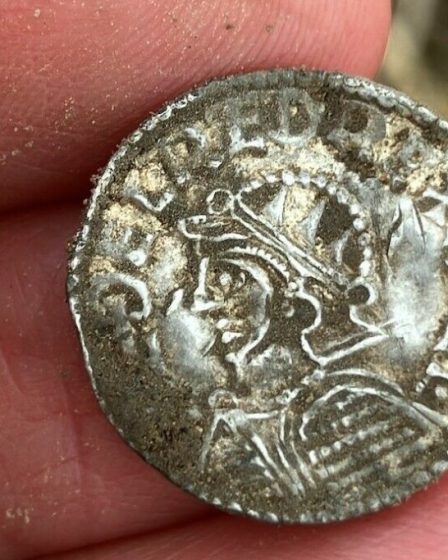 Découverte du plus grand trésor viking de Norvège, composé de 3 000 pièces d'argent : « Vraiment exceptionnel » 2 Découverte du plus grand trésor viking de Norvège, composé de 3 000 pièces d'argent : « Vraiment exceptionnel » - 1