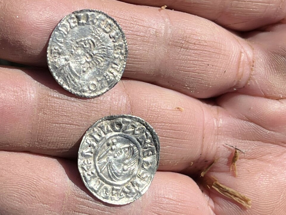 Découverte du plus grand trésor viking de Norvège, composé de 3 000 pièces d'argent : « Vraiment exceptionnel » 21 Une main poussiéreuse tenant deux petites pièces d'argent gravées d'une tête et d'une inscription.
