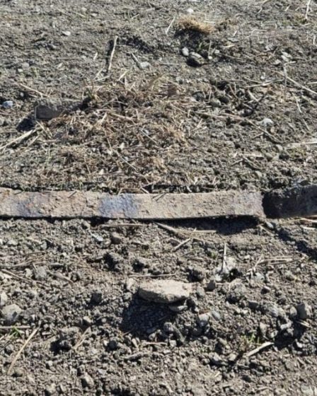 Un garçon en Norvège vient de découvrir une épée viking vieille de 1 300 ans 2 Un garçon en Norvège vient de découvrir une épée viking vieille de 1 300 ans - 1