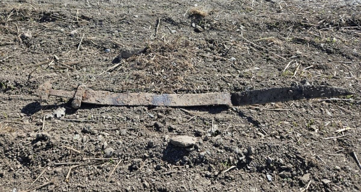 Un garçon en Norvège vient de découvrir une épée viking vieille de 1 300 ans 8 Un garçon en Norvège vient de découvrir une épée viking vieille de 1 300 ans - 7