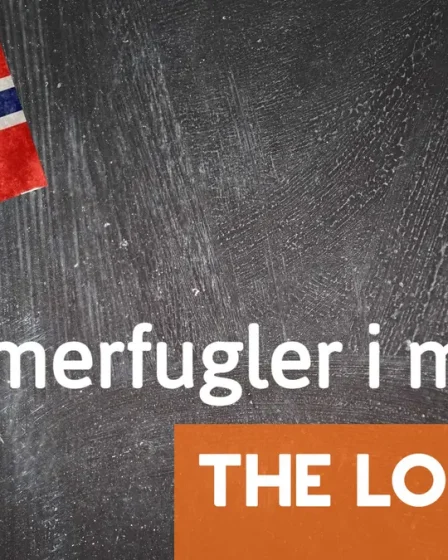 Expression norvégienne du jour : Sommerfugler i magen 5 Expression norvégienne du jour : Sommerfugler i magen - 4