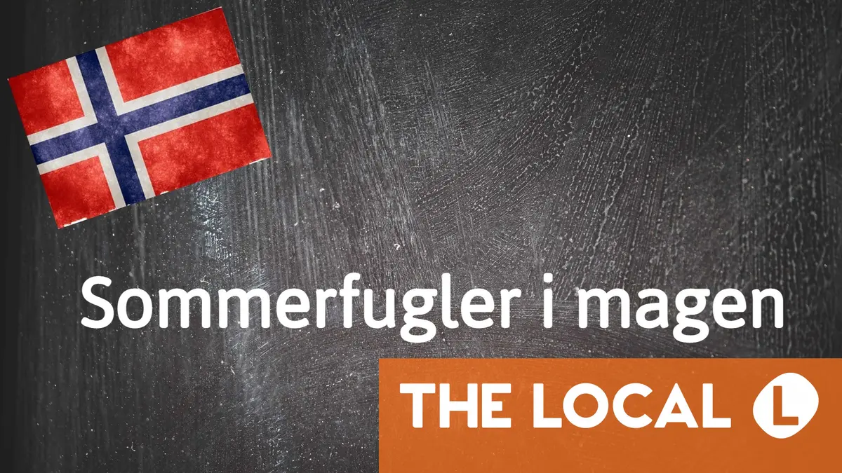 Expression norvégienne du jour : Sommerfugler i magen 22 Expression norvégienne du jour : Sommerfugler i magen - 21