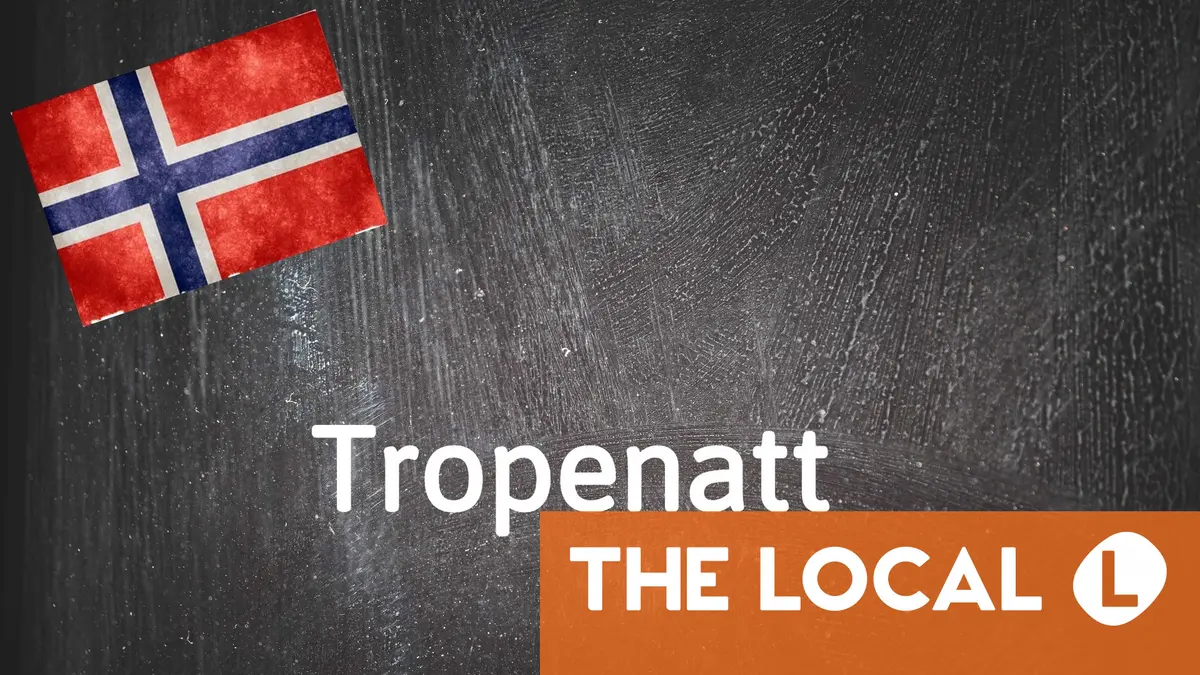 Mot norvégien du jour : Tropenatt 16 Mot norvégien du jour : Tropenatt - 15